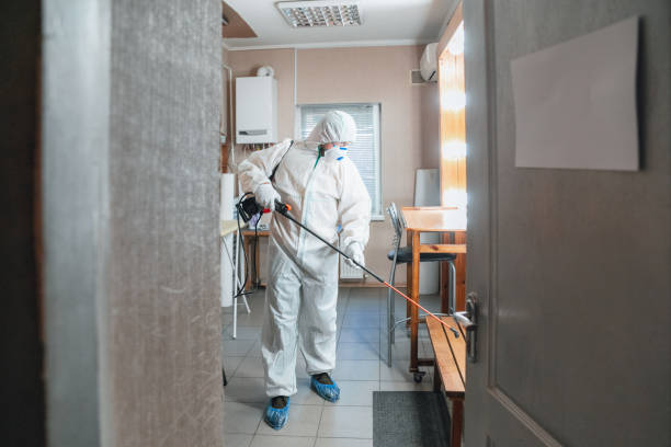 Best Mold Odor Removal Services  in Prestonsburg, KY